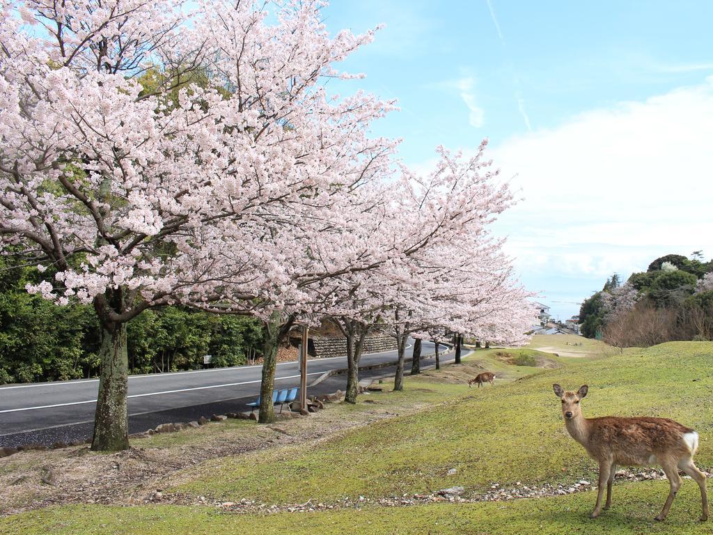 Miyajima Seaside Hotel Itsukushima Bagian luar foto