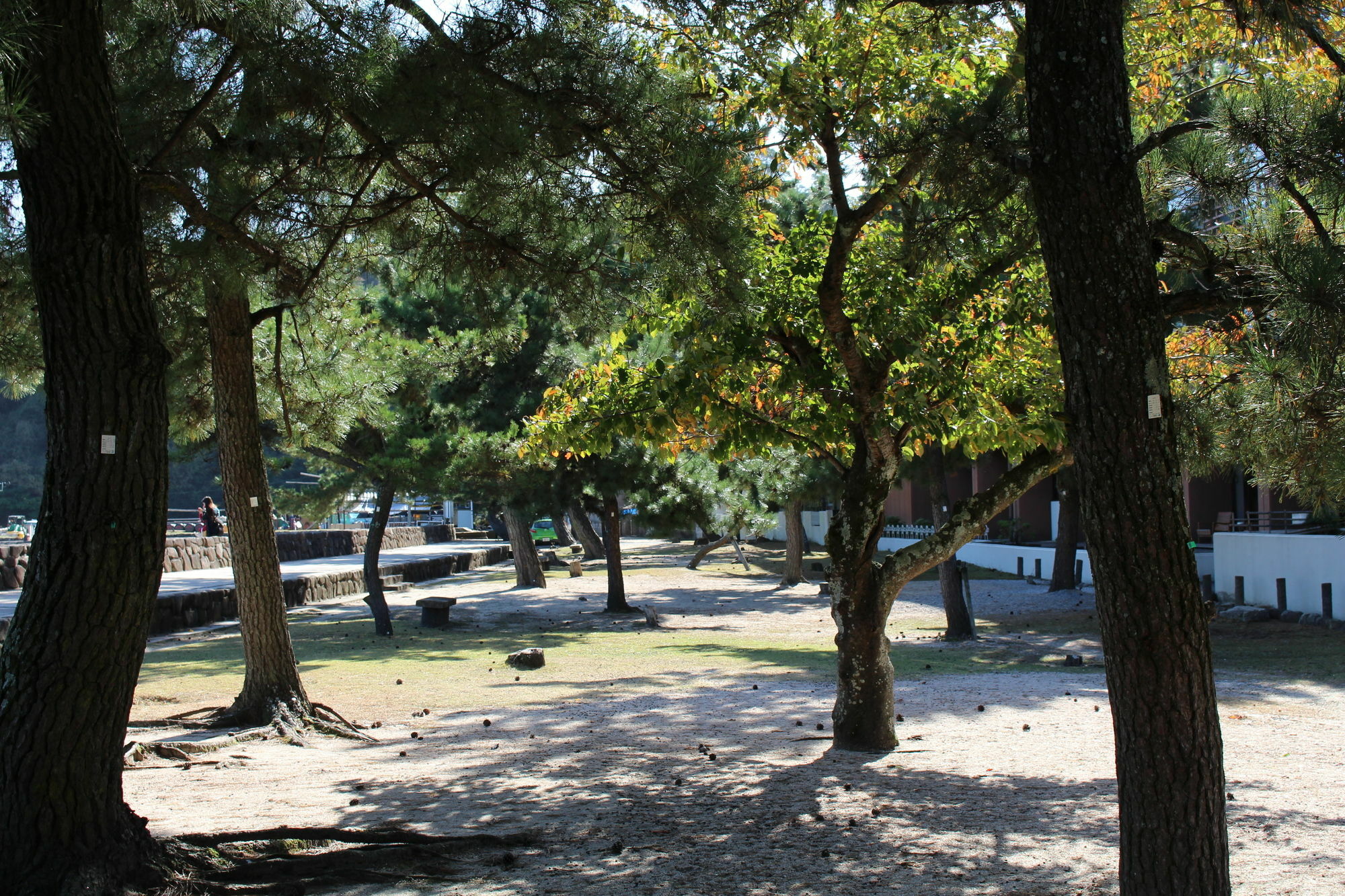 Miyajima Seaside Hotel Itsukushima Bagian luar foto